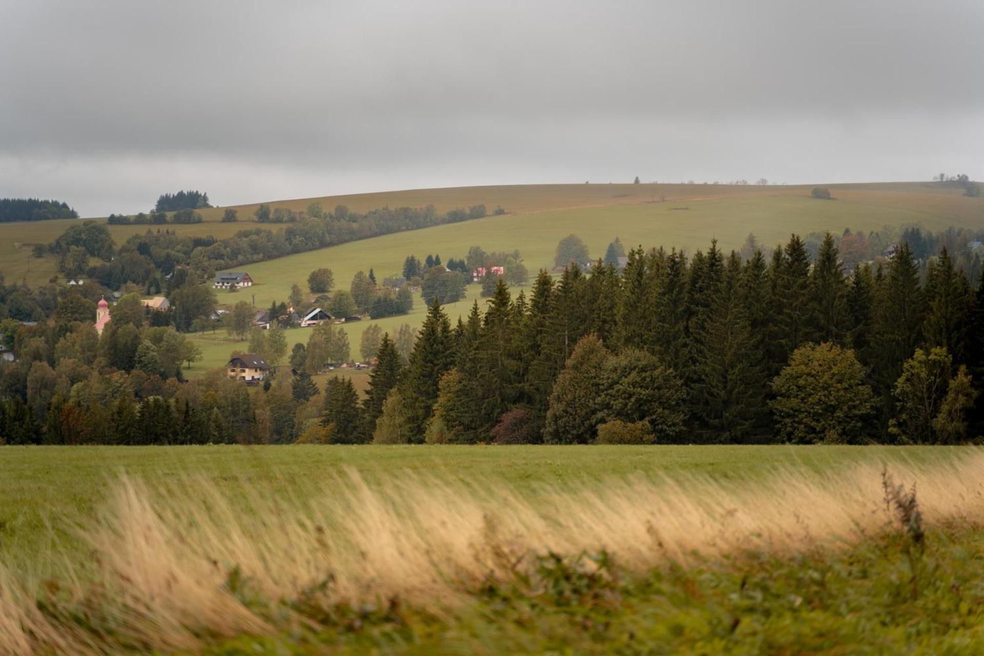 Apartmán Barth Holiday - Ricky V Orlickych Horach Exteriér fotografie